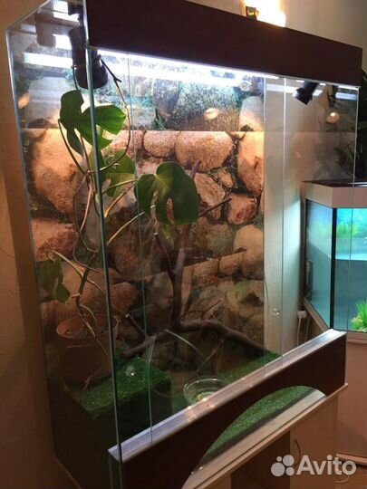 Террариум для рептилий, агамы, хамелеона, пауков