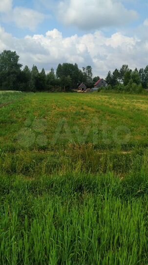 Участок 25 сот. (ИЖС)