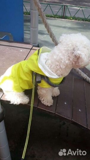 Пыльник для собак. Ботинки для собаки