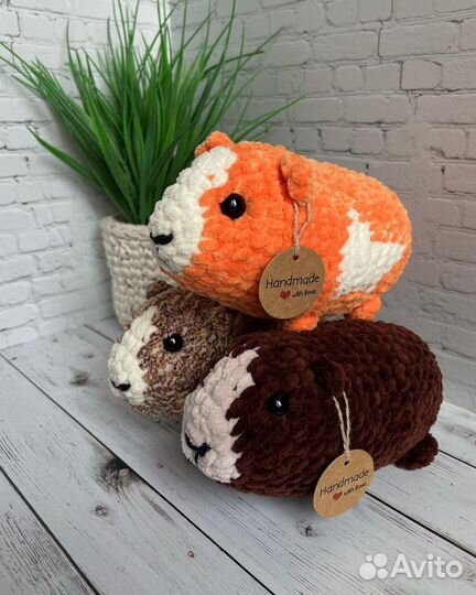 Вязаные морские свинки