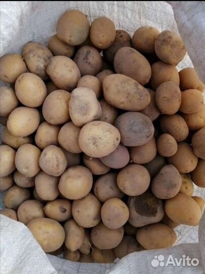 Продукты питания для животных