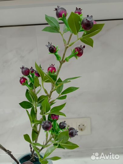 Ветка с ягодами реалистичная