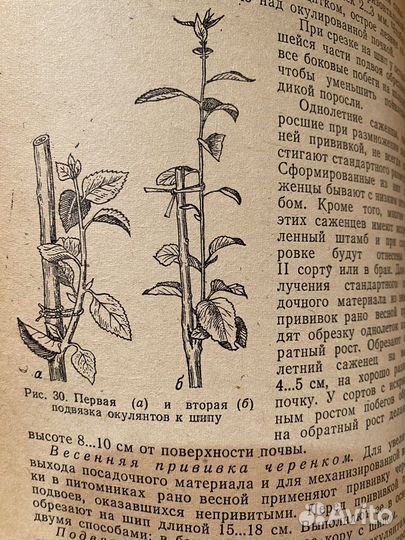 Книги для садовода и агронома