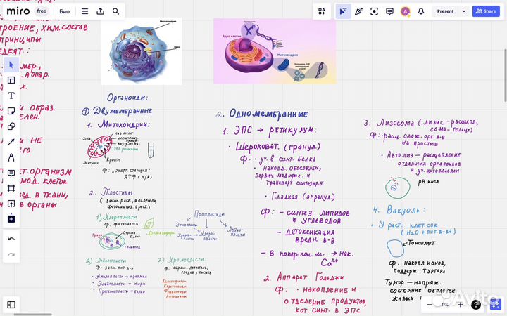 Репетитор по биологии егэ/огэ онлайн