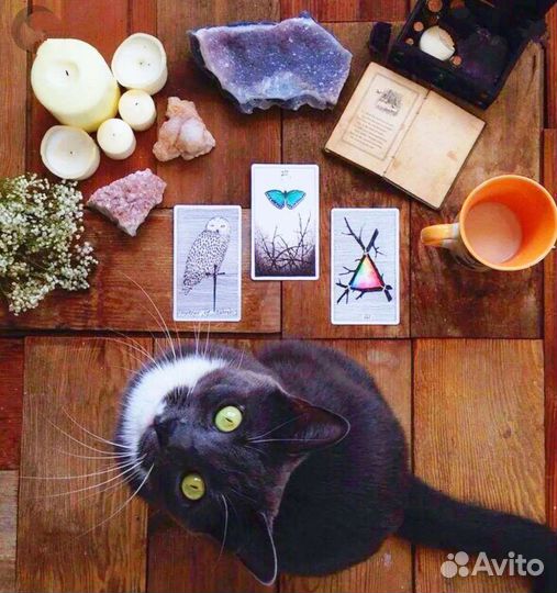 Гадание Таро.Оплата после расклада. Обучение