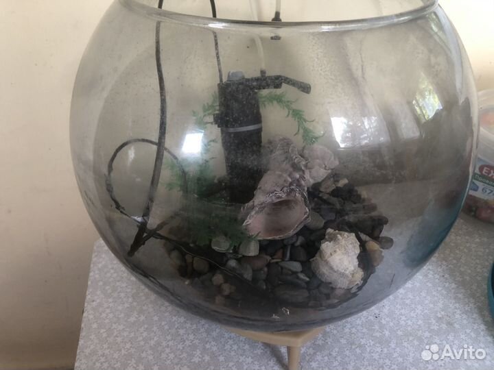 Аквариум