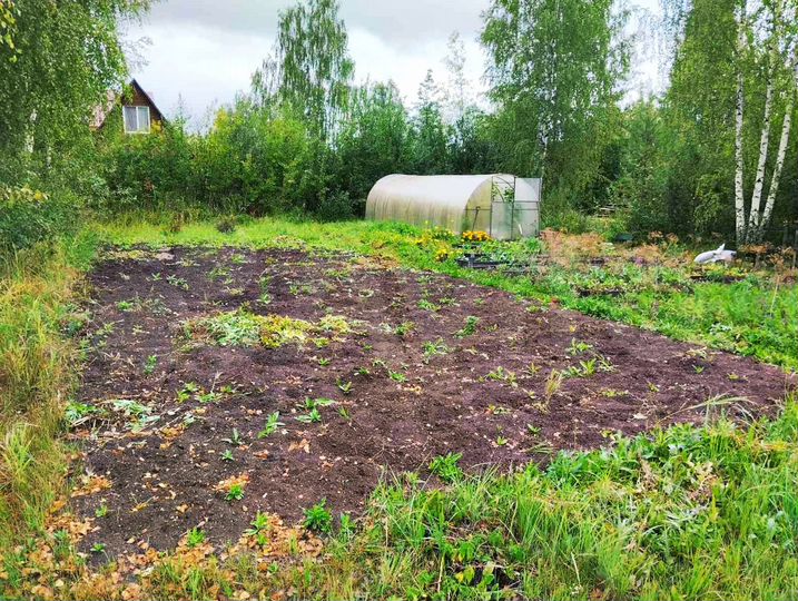 Участок 5,6 сот. (СНТ, ДНП)