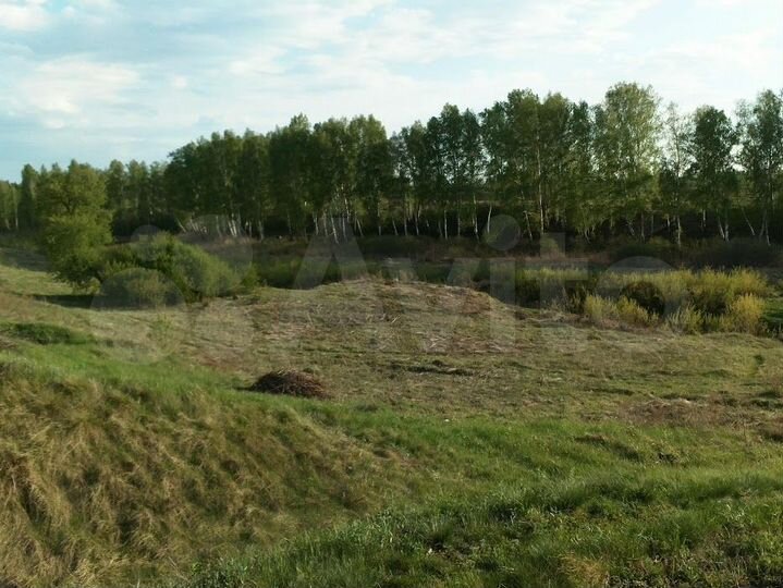 Участок 10 сот. (ИЖС)