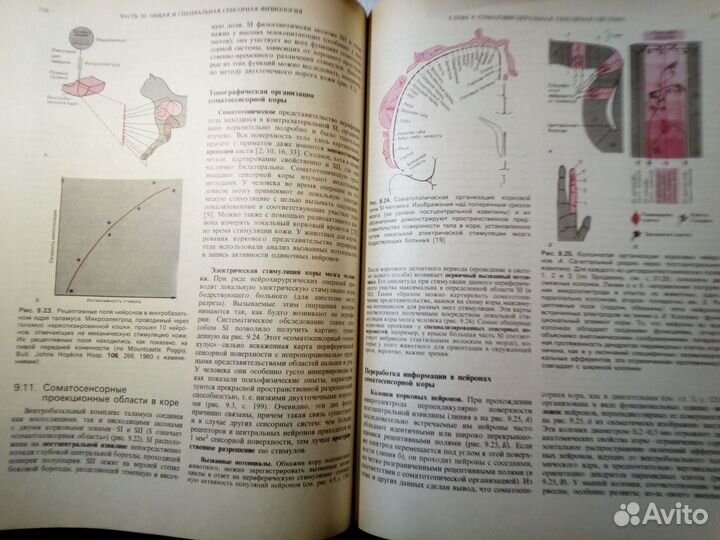 Вертеброневрология, мануальная медицина, массаж