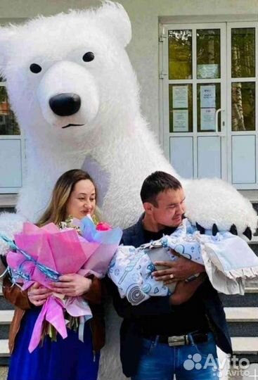 Белый мишка поздравление