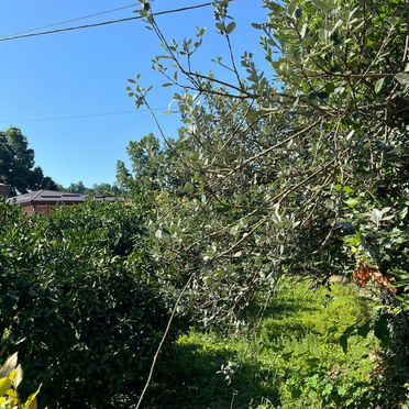 Участок 7 сот. (ИЖС)