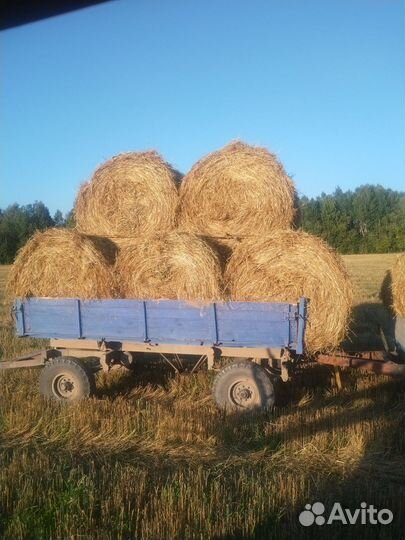 Солома большие рулоны