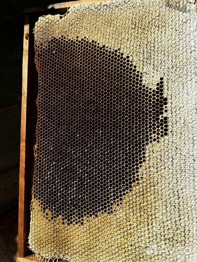 Мёд Майский, Липа, цветочный