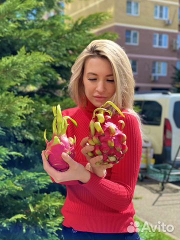 Питахайя (драгонфрут) экзотический фрукт питахая