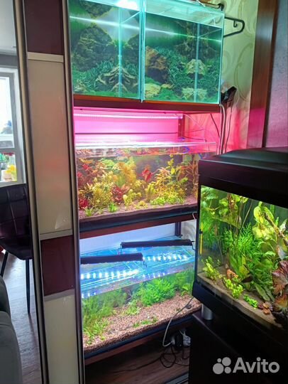 Аквариум