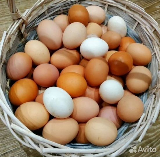 Домашние куриные яйца