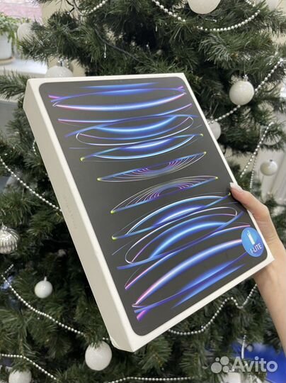 iPad Pro(2022) 11 Wi-Fi+Cellular 2TB Silver