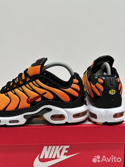 Кроссовки Nike Air Max Tn Plus