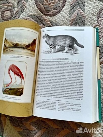 Путешествие вокруг света на корабле Бигль