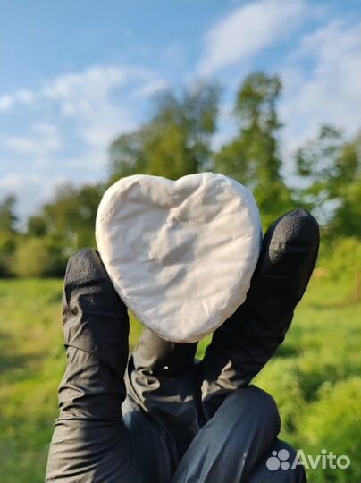 Камамбер из домашней сыроварни