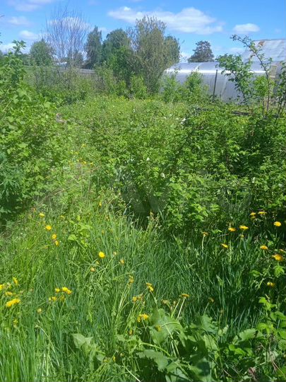 Дом 38 м² на участке 24 сот.