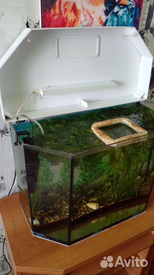 Аквариум