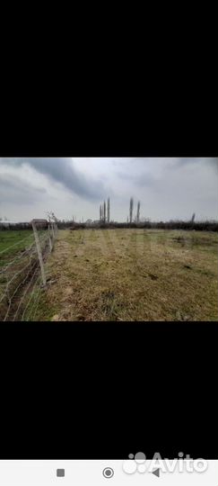 Участок 9суток