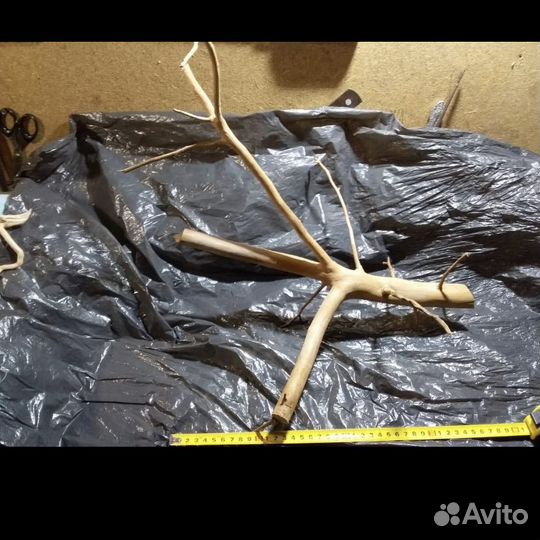 Коряги для аквариума