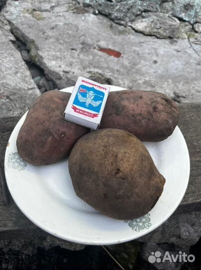 Картофель с доставкой
