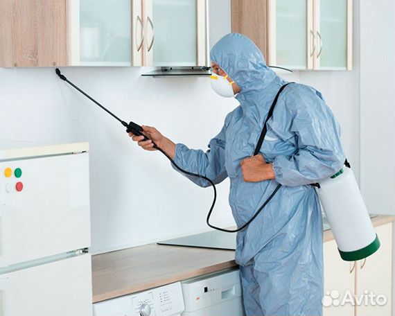 Уничтожение тараканов и клопов