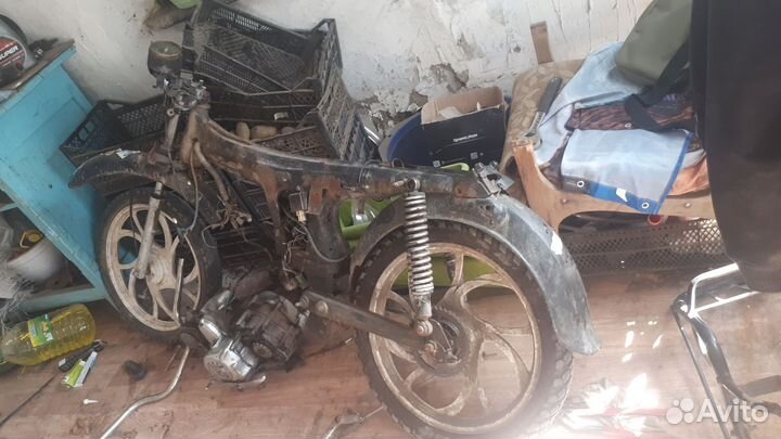 Альфа разбор