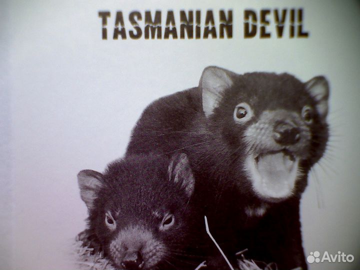 Тувалу 2013 1 доллар серия исчезающие тасманский Д