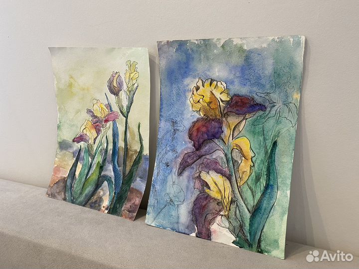 Картины Ирисы