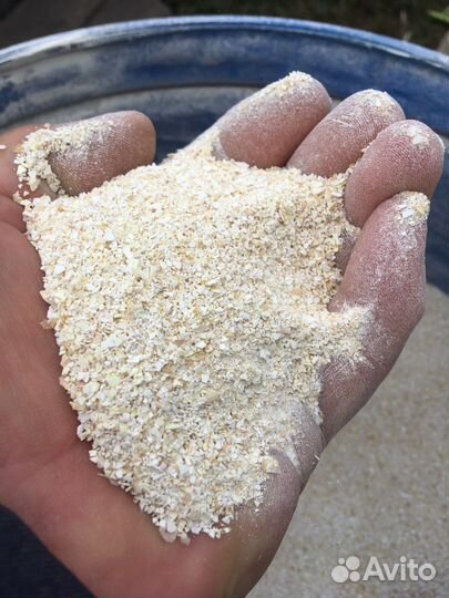 Яичная скорлупа