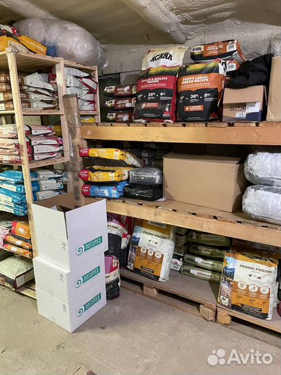 Сухой корм для взрослых собак Примордиал Primordia