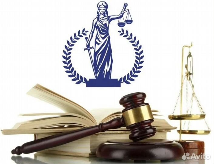 Юрист, Адвокат, Правозащитник