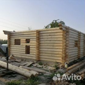 Срубы из осины 🌳 | делюкс-авто.рф