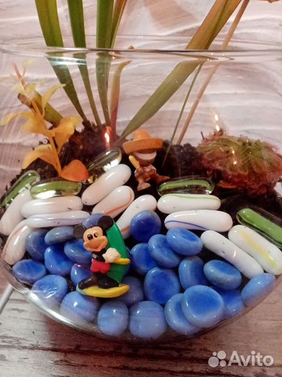 Флорариумы