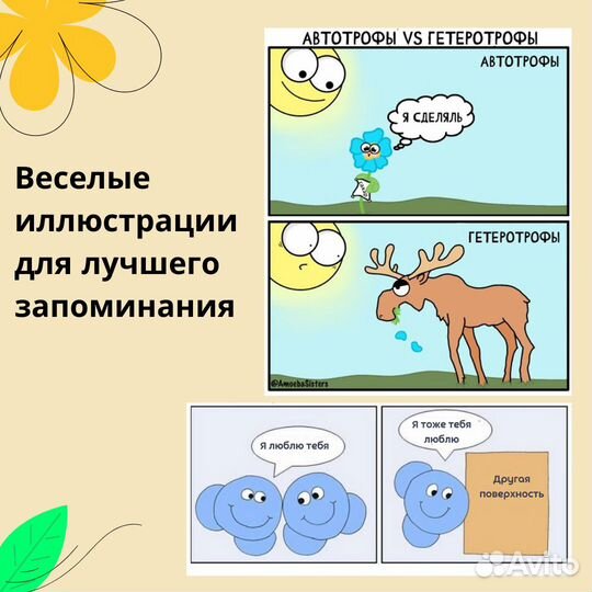 Сильный репетитор по биологии, анатомии цнс