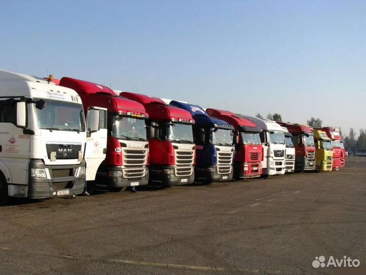 Руководитель транспортного отдела, директор