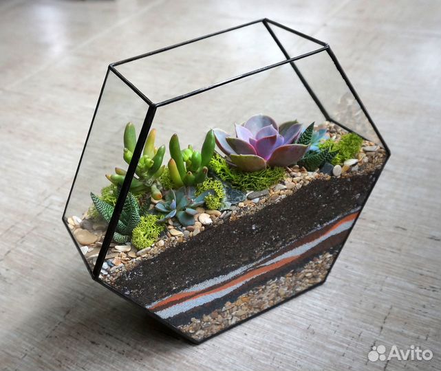 Флорариум Шестигранник