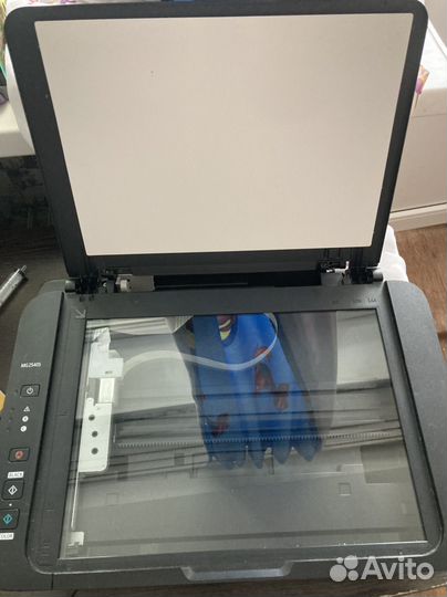 Цветное струйное мфу Canon pixma MG2540S