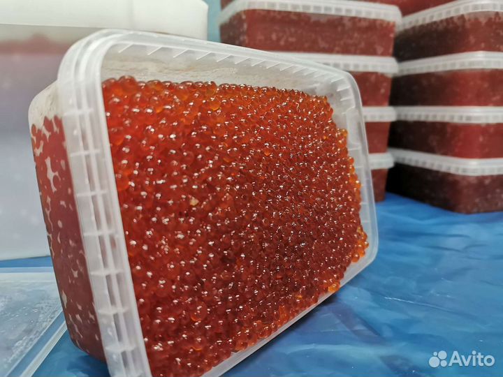 Обалденная, сухая и малосольная икра Кета Горбуша