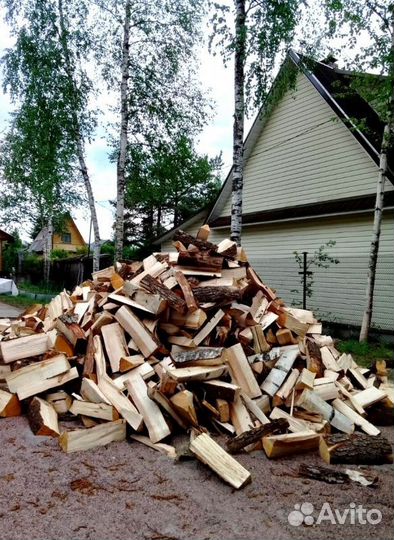 Дрова Береза любой объем от производителя в Приозе