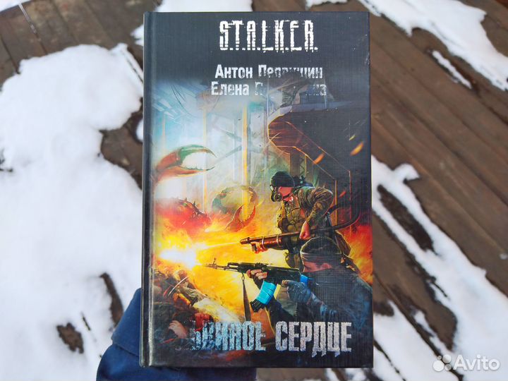 Книга - Львиное Сердце / S.T.A.L.K.E.R