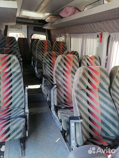 Пассажирские перевозки микроавтобус