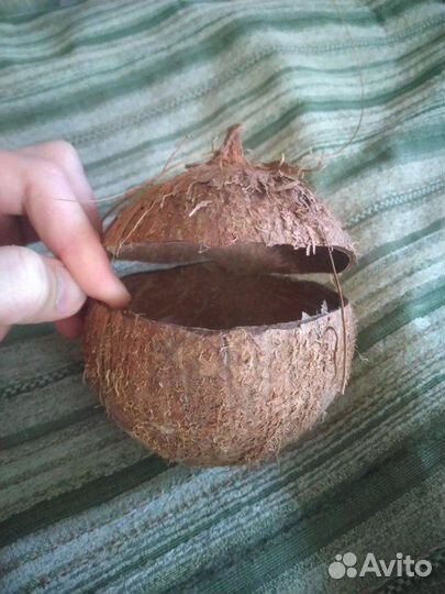 Грот из кокоса