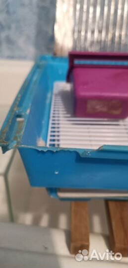 Клетка для попугая бу