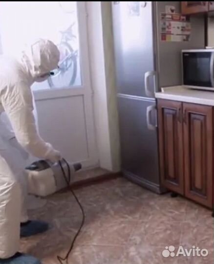 Уничтожение клещей тараканов клопов плесени