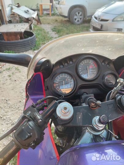 Спорт турист